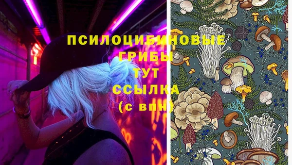 первитин Абдулино