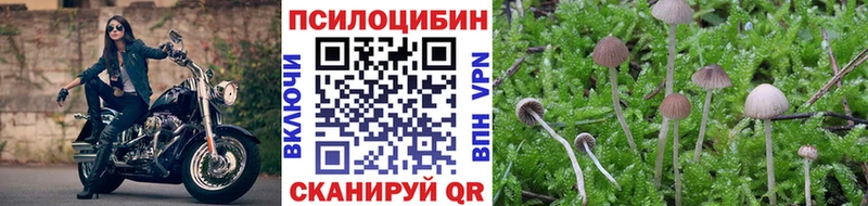 даркнет сайт Зарайск Галлюциногенные грибы мухоморы